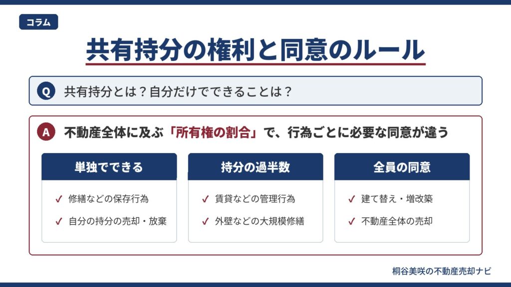 共有持分とは何かを解説するインフォグラフィック｜編集部の結論として、単独でできること・持分の過半数や全員の同意が必要なことの区分を整理した図